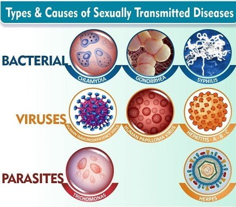 What is STD Sexual Transmitted Disease