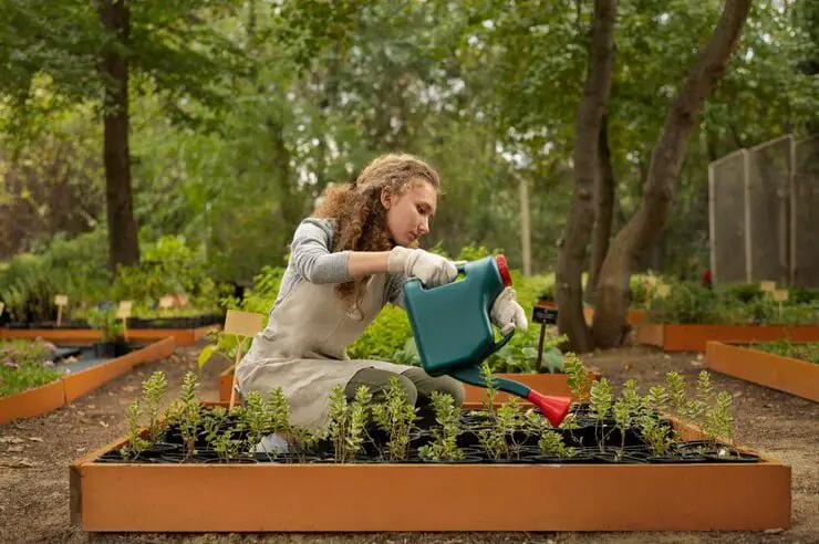 Balcony Garden Ideas