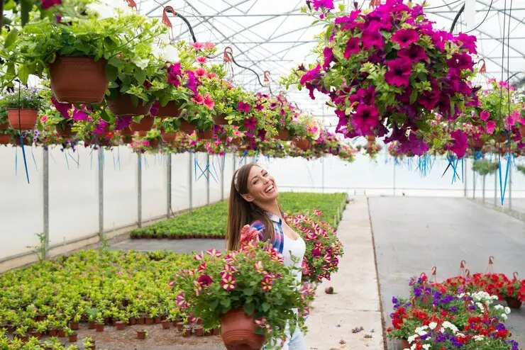 Balcony Garden Ideas