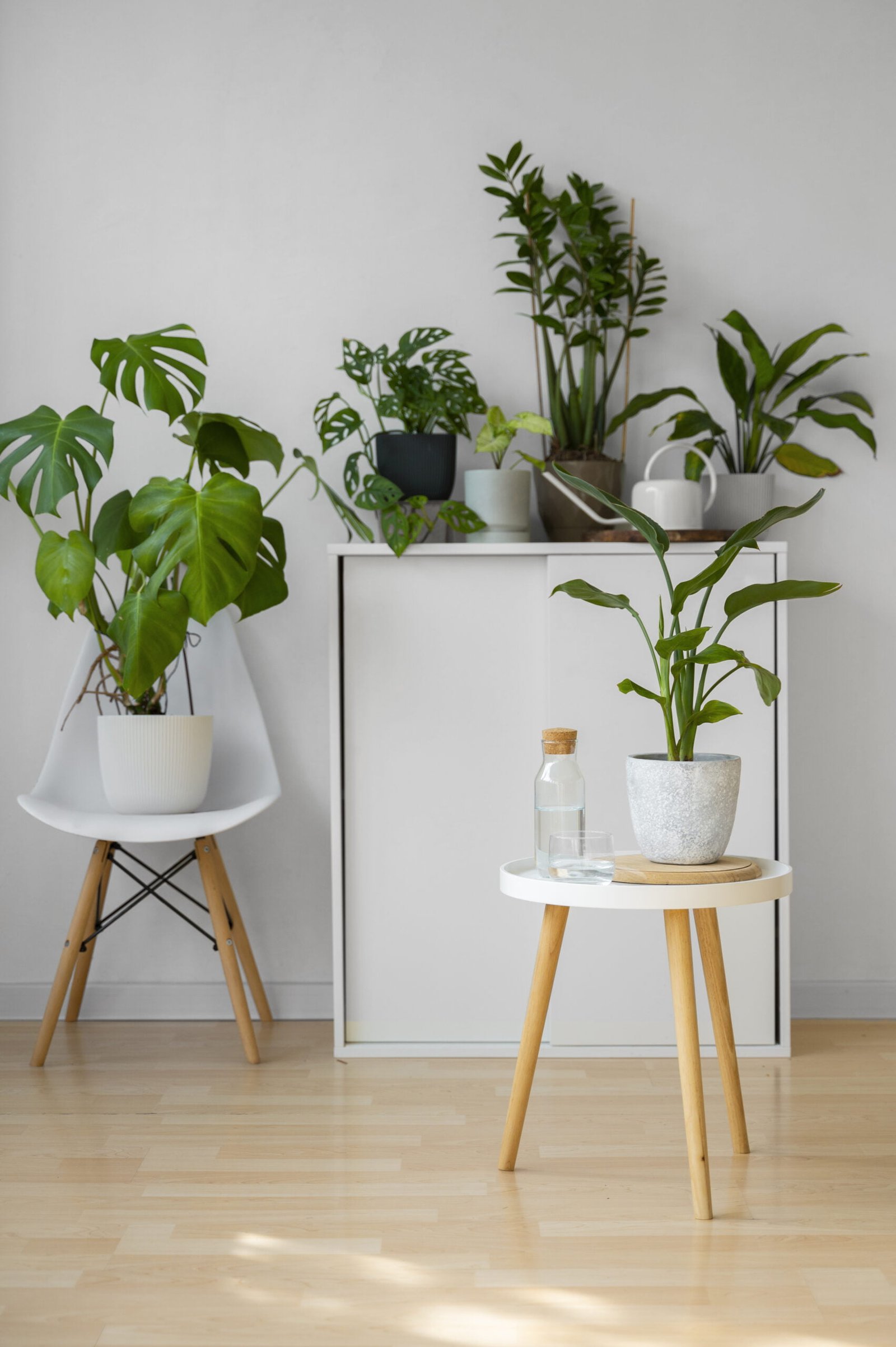 Wonderful benefits of having indoor plants in a home?