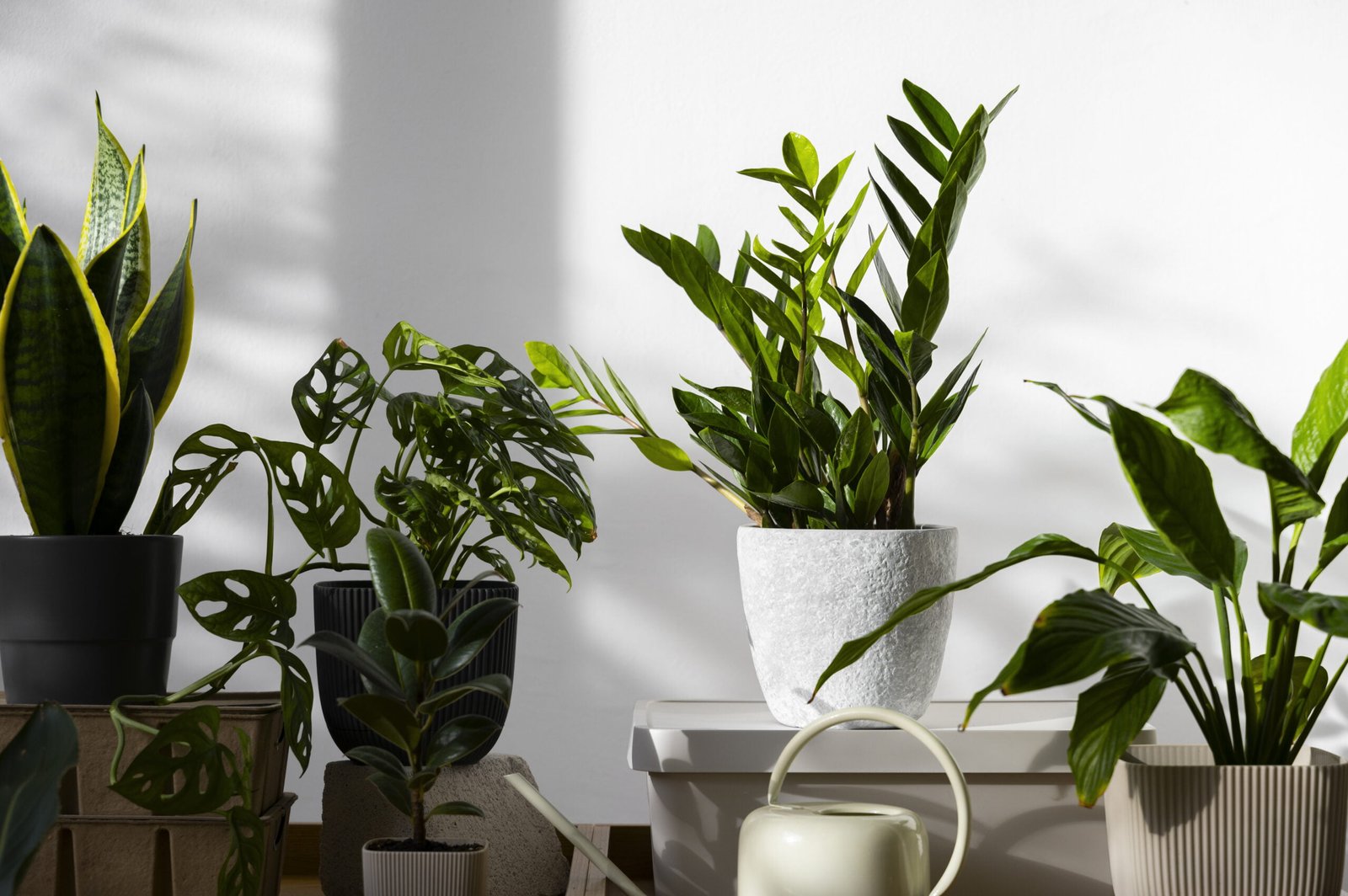 Wonderful benefits of having indoor plants in a home?