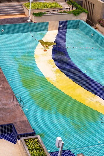 How to Get rid of Black algae in your Pool